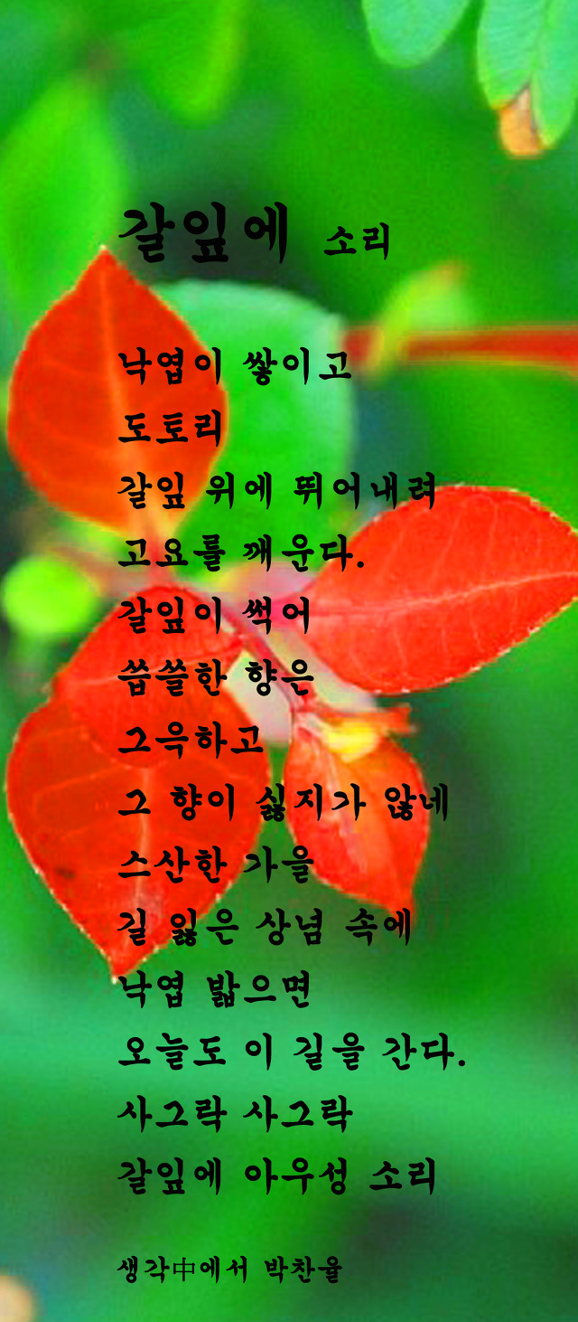 갈잎 이미지