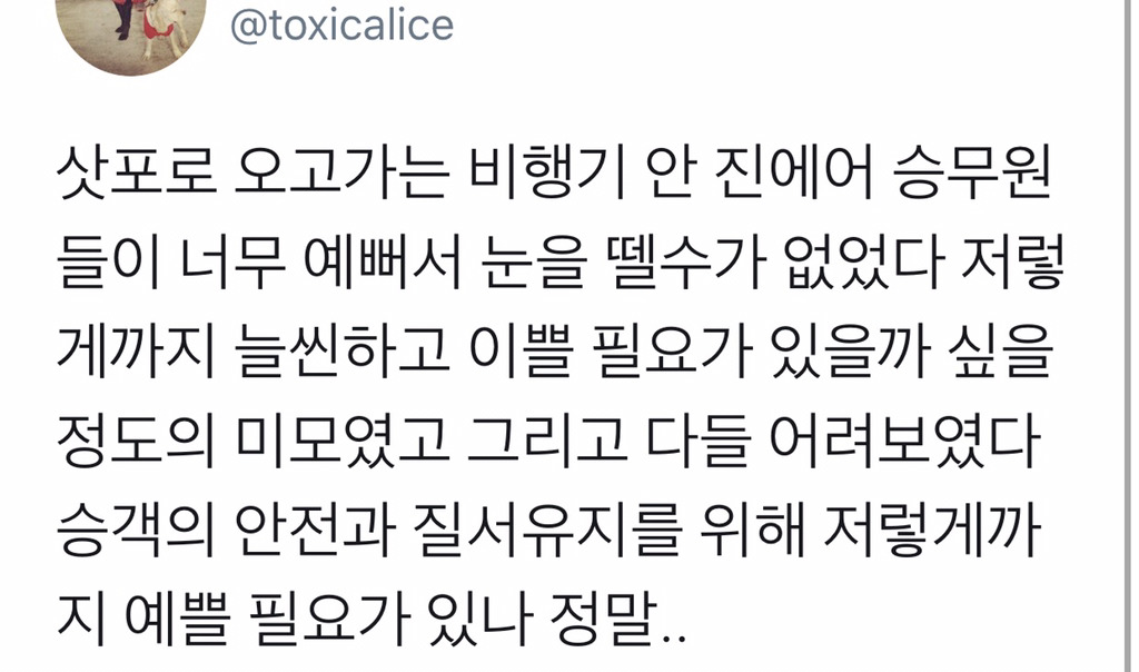 여권이 낮은 나라의 국적기일수록 승무원은 젊고 날씬하다.twt | 인스티즈