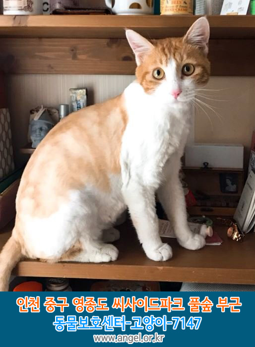 풀숲 이미지