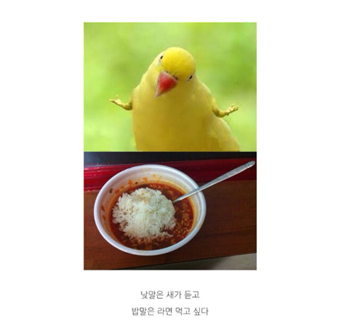 낮말은 새가듣고 | 인스티즈
