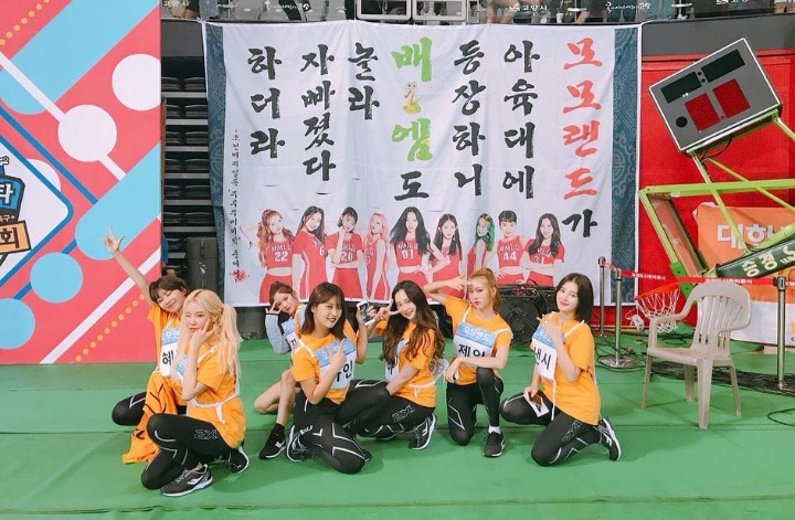 유튜브 대박난 모모랜드 | 인스티즈