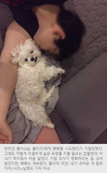 기자의 50가지 부탁 거절당하기 체험.jpg | 인스티즈