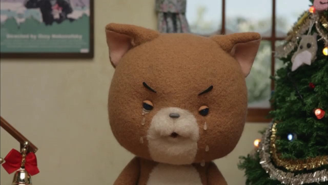 고냉이 키우는사람들이 한번은 들어본말들 | 인스티즈