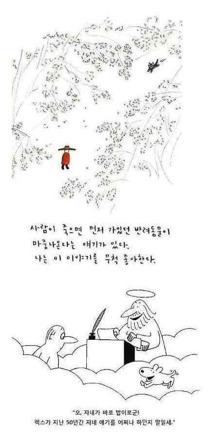 반려동물 키우는 사람들의 눈물짤.jpg | 인스티즈