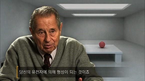 사람의 성격에 가장 많은 영향을 미치는 것 | 인스티즈