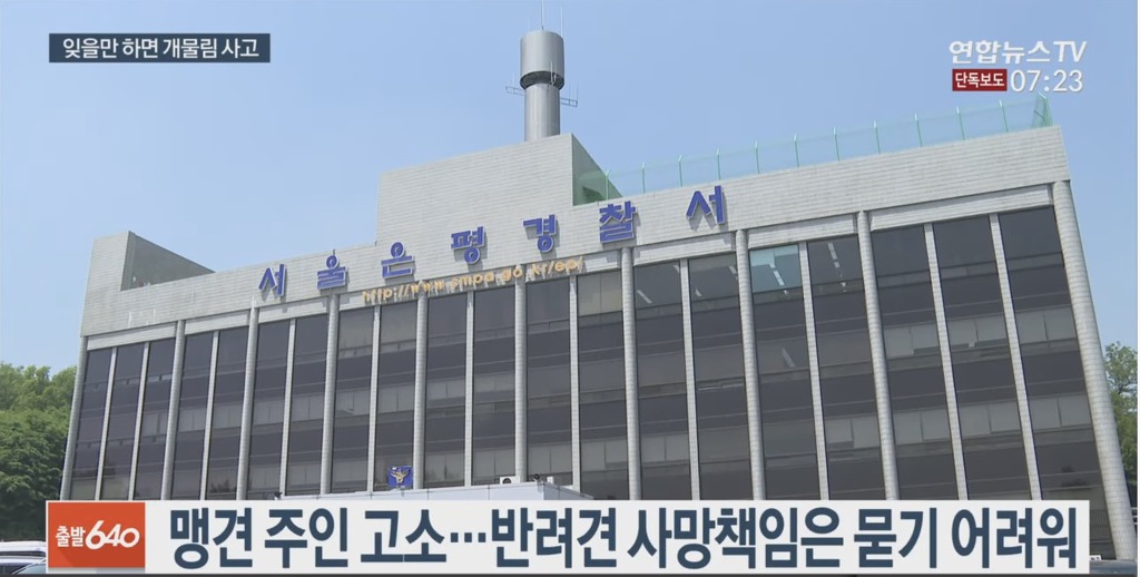 입마개 안한 로트와일러가 지나가는 행인과 강아지 공격해 강아지 15초만에 죽임 | 인스티즈