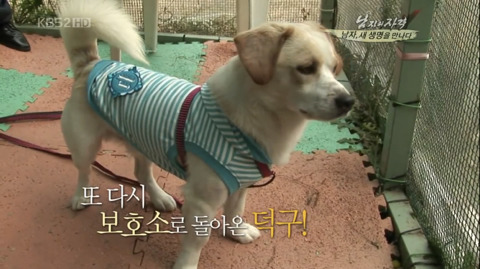 덕구네 이미지