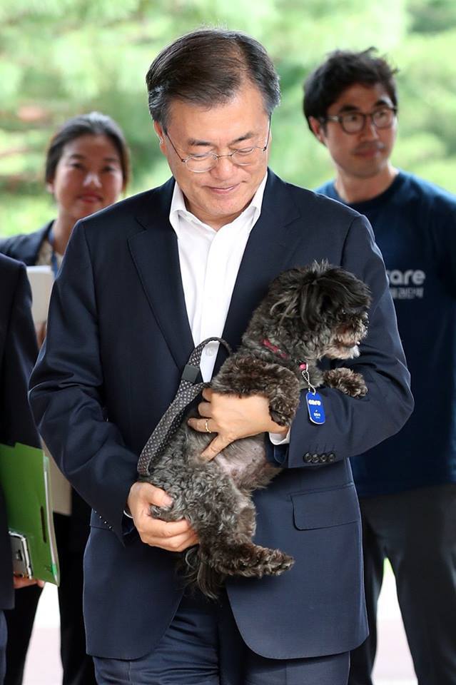 퍼스트독 문토리 청와대 입성 전후 | 인스티즈