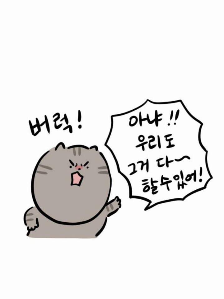 개와 고양이의 차이 | 인스티즈