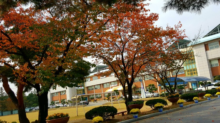 강릉오성학교카페모두 이미지