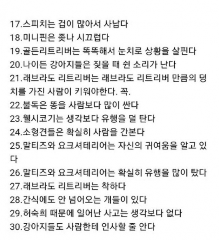 애견카페 알바생이 쓴 강아지 성격 | 인스티즈
