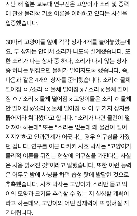 고양이는 중력의 법칙을 이해한다 | 인스티즈