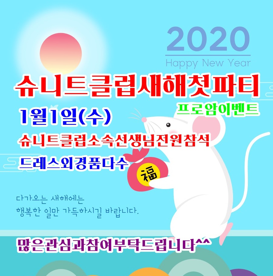 슈니트 이미지