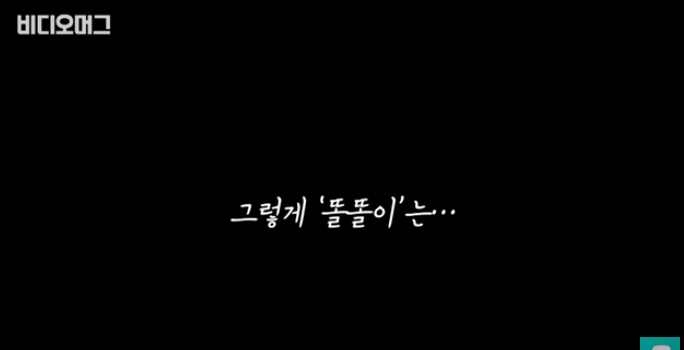 폭염 속 버려진 똘똘이가 모니로 개명한 사연 | 인스티즈
