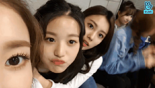 아이즈원 다 접수하신분(광배의 주지육림).jpgif | 인스티즈