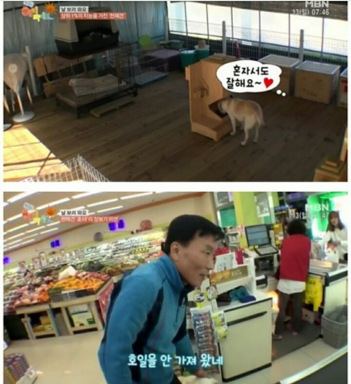 호야농장 이미지