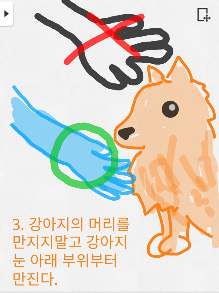 보노보노가 알려주는 산책나온 개를 만지고 싶을때 | 인스티즈
