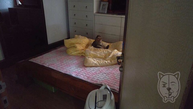 털빠진다고 가라했는데ㅠㅠㅠㅠㅠ | 인스티즈