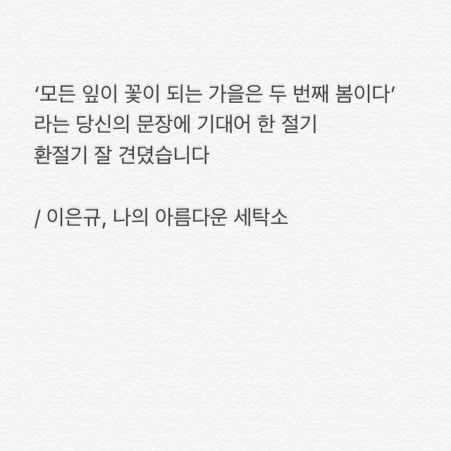 내 갤러리 속 30번의 고통 | 인스티즈