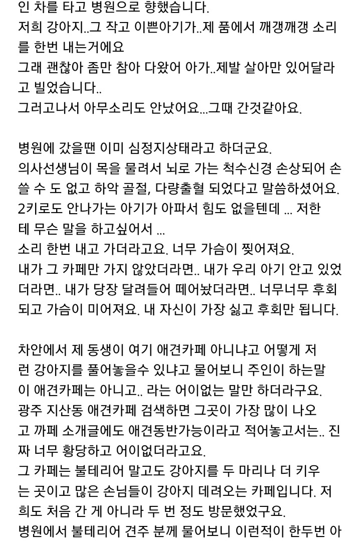 애견동반카페에서 카페주인이 키우는 불테리어에게 물려 죽은 강아지 주인이에요.(혐오주의) | 인스티즈