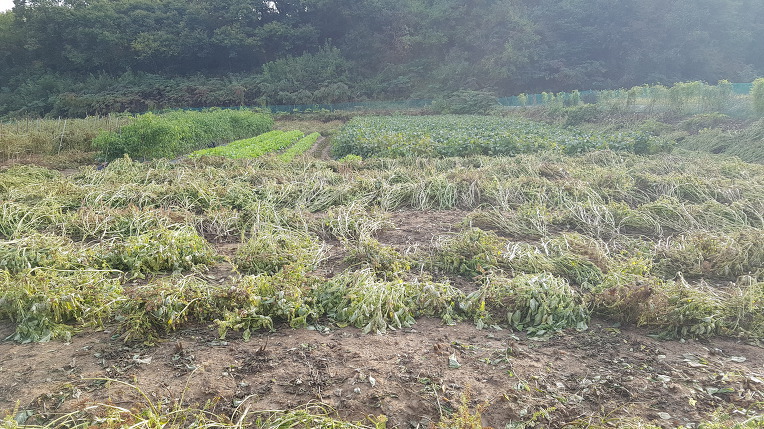 (주)자연농장 이미지