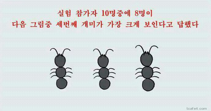 착시 레전드 | 인스티즈