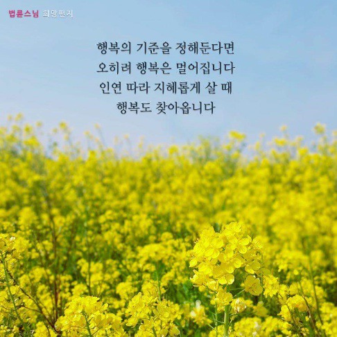 행복잡고 이미지