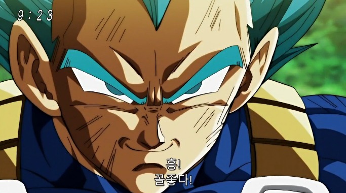 간지와 안습이 공존하는 베지터 명장면 | 인스티즈
