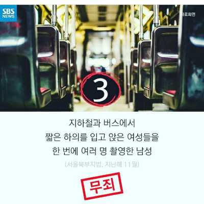 얘들아 개파라치 시행/공격성과 무관한 입마개 착용 의무화에 반대하는 가장 효과적인 방법!!! | 인스티즈