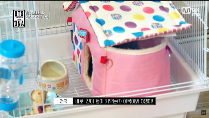 한 아이돌이 키운다는 애완동물 | 인스티즈