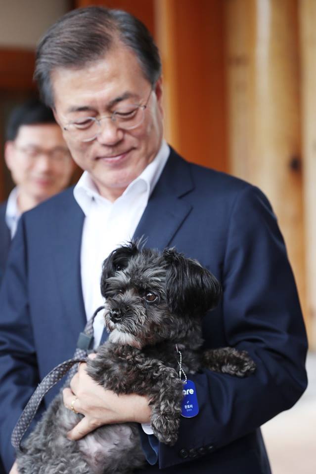퍼스트독 문토리 청와대 입성 전후 | 인스티즈