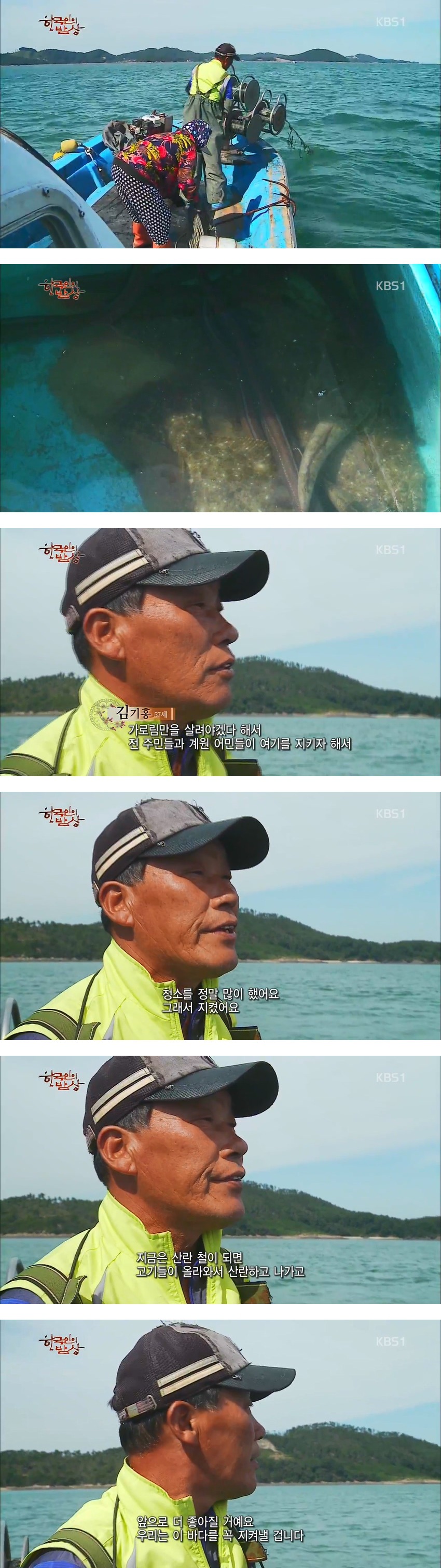 한국인의 밥상 -무젓양념게장,꽃게튀김,박하지게국지,붕장어조림 - | 인스티즈