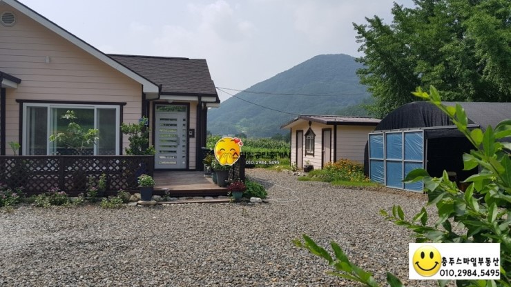 파란잔디 이미지