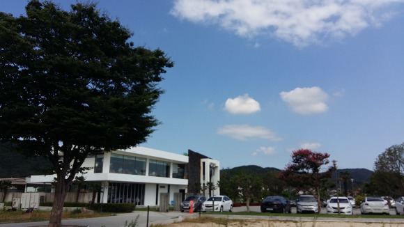벤자마스 이미지