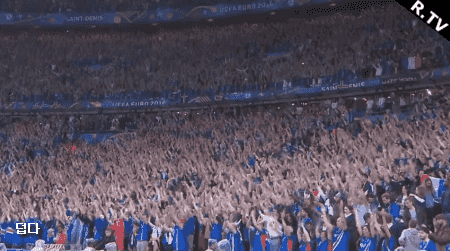 아이슬란드 거리응원 클라스.gif | 인스티즈