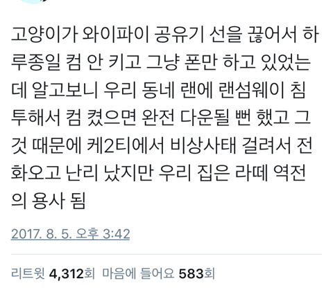 고양이의 보은 | 인스티즈