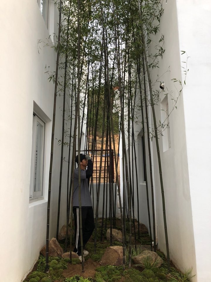 디자인메타 이미지