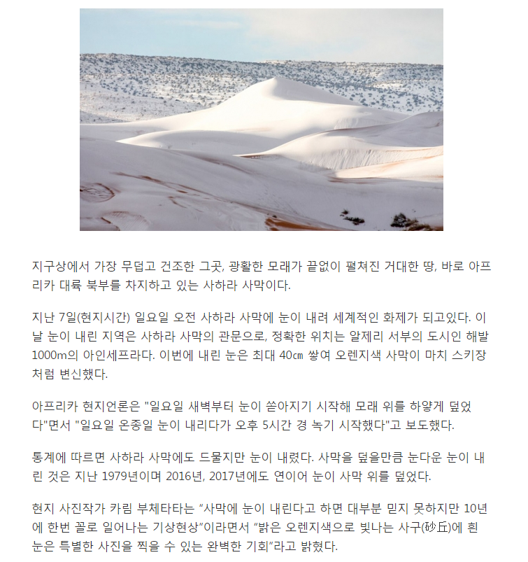 스키장으로 변한 사하라 | 인스티즈