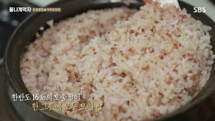 한반도의 토종 벼 품종.JPG | 인스티즈