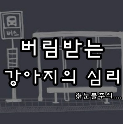 버림받은 강아지의 마음 | 인스티즈