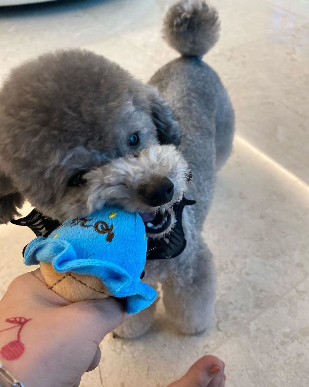 999440415F3ECFF008F5B9