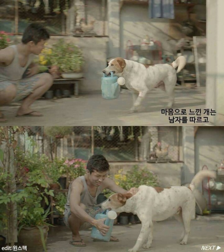 전세계를 울린 태국의 공익광고 | 인스티즈