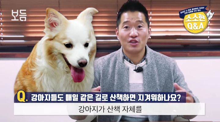 [강형욱의소소한Q&amp;A] 강아지도 매일 같은 길로 산책하면 지겨워 하나요? | 인스티즈