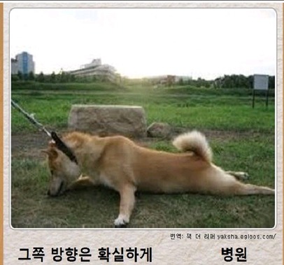 제목학원 레전드 모음 (귀여운것들 섞여잇음) | 인스티즈