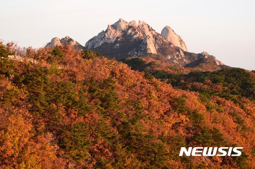 사진기자들이 포착한 2017년 단풍들.jpg | 인스티즈