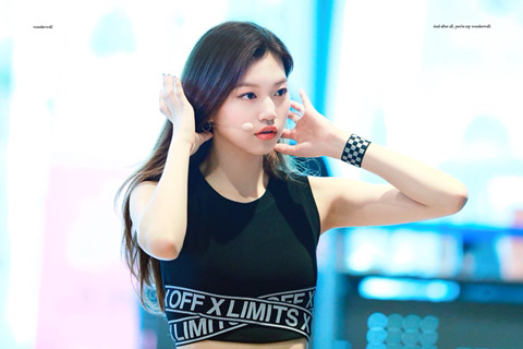 다도연 이미지