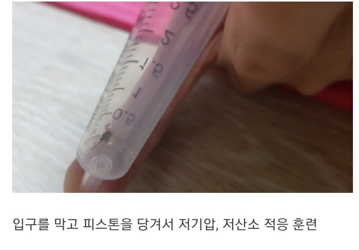 모기를 생포했어요 | 인스티즈