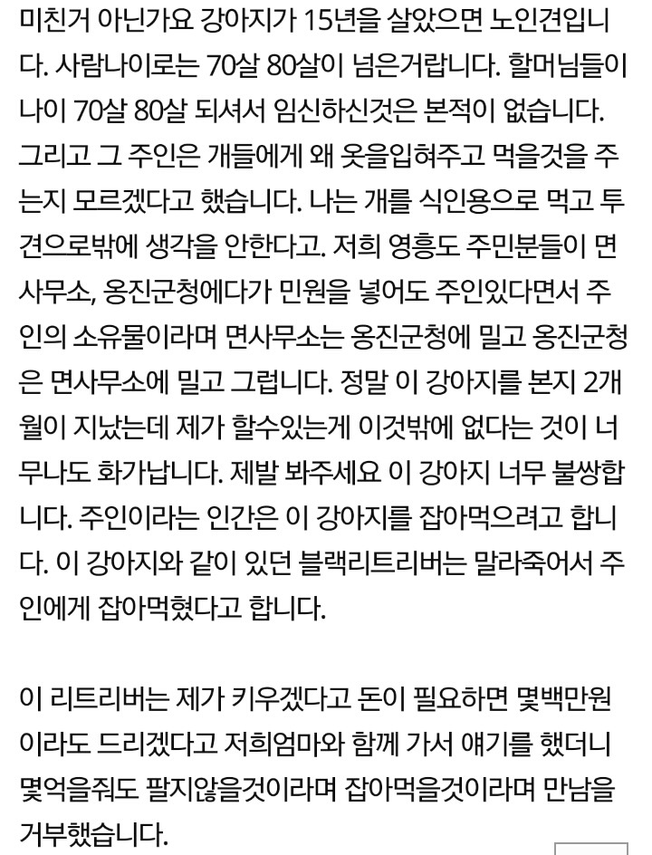 네이트판 추천수 2000넘고 난리난 강아지 학대 고발글 | 인스티즈