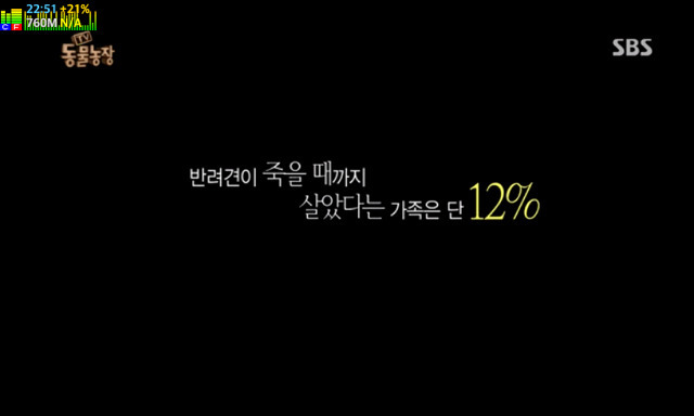 반려견 죽을때까지 데리고 사는 비율.jpg | 인스티즈