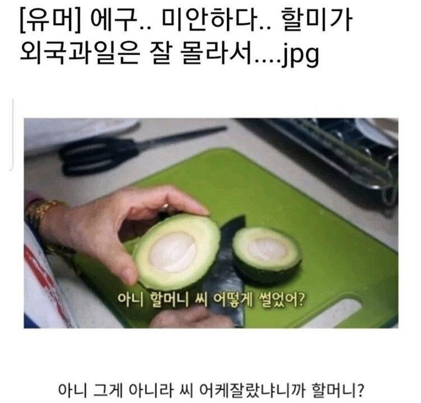 할미가 외국과일은 잘 몰라서..... | 인스티즈